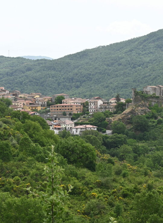 Episcopia