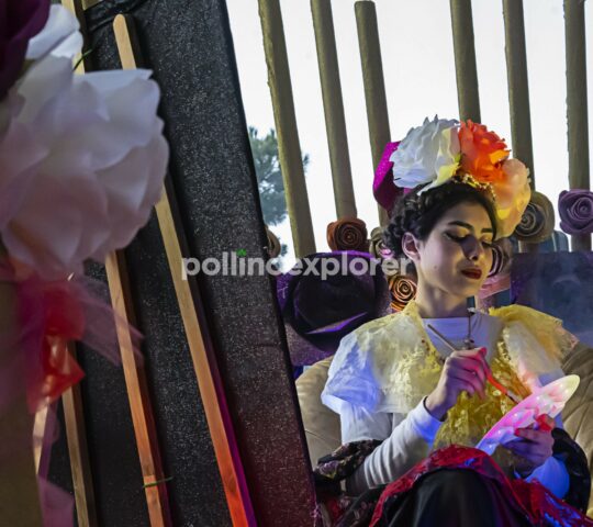 Carnevale di Castrovillari e del Pollino